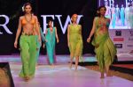 Model walk the ramp for Anupama Dayal Show at IRFW 2012 Day 1 in Goa on 28th Nov 2012 (72).JPG